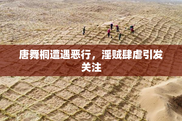 唐舞桐遭遇恶行，淫贼肆虐引发关注