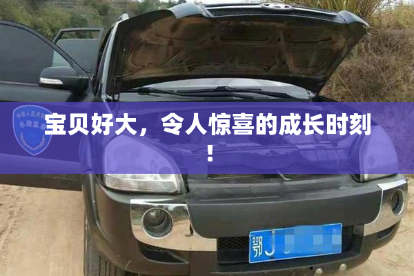宝贝好大，令人惊喜的成长时刻！