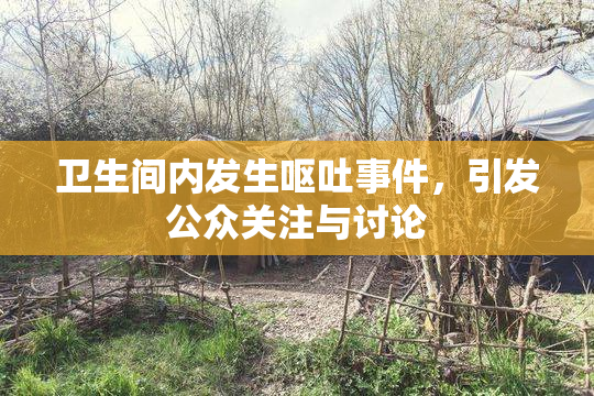 卫生间内发生呕吐事件，引发公众关注与讨论