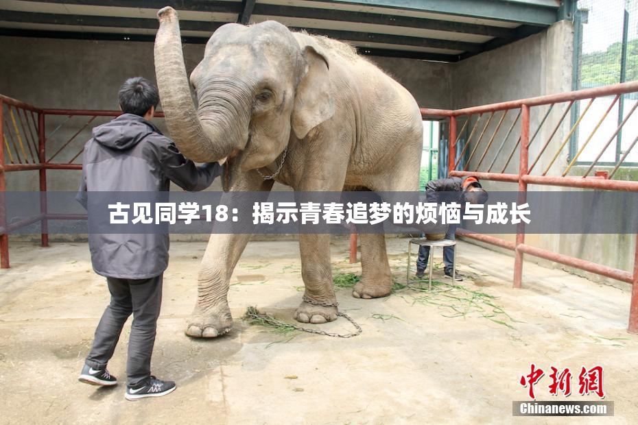 古见同学18：揭示青春追梦的烦恼与成长