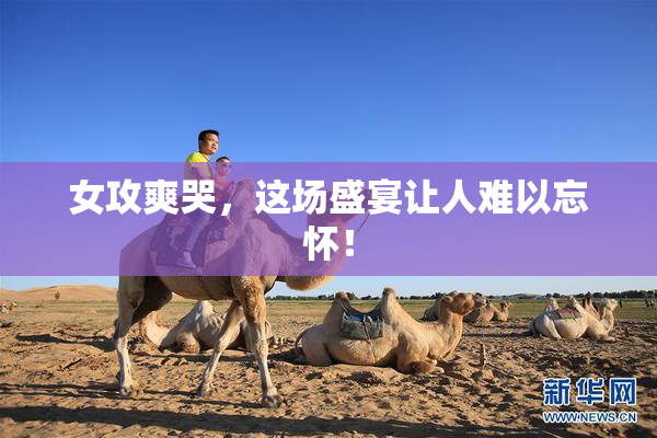 女攻爽哭，这场盛宴让人难以忘怀！