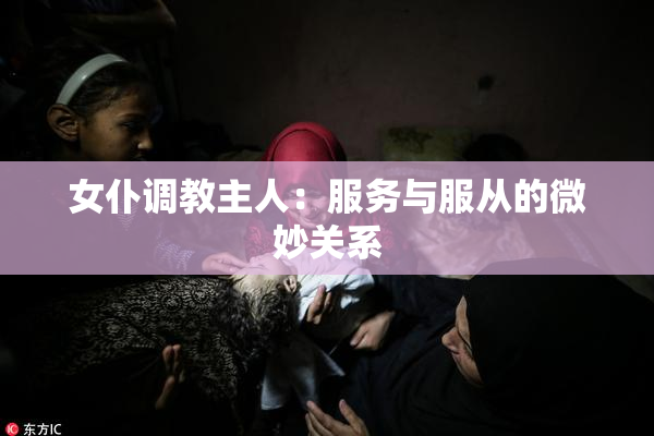 女仆调教主人：服务与服从的微妙关系
