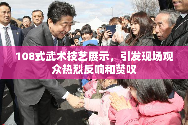 108式武术技艺展示，引发现场观众热烈反响和赞叹
