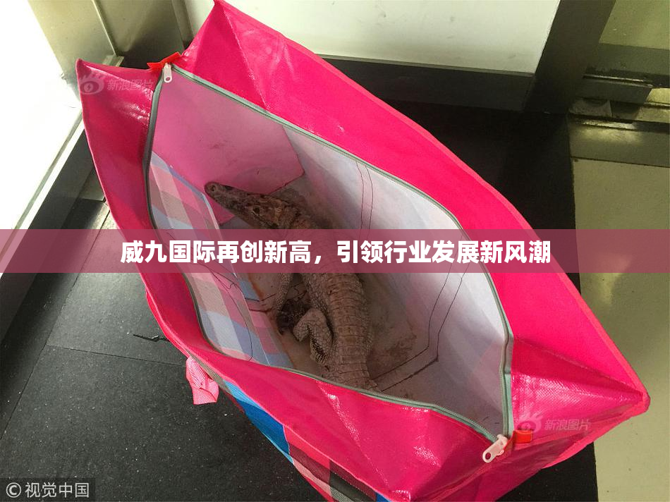 威九国际再创新高，引领行业发展新风潮