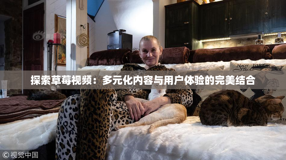 探索草莓视频：多元化内容与用户体验的完美结合