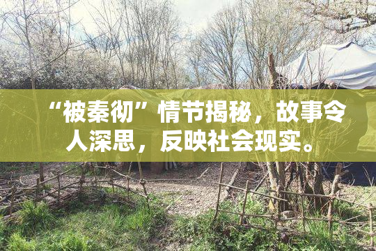 “被秦彻”情节揭秘，故事令人深思，反映社会现实。