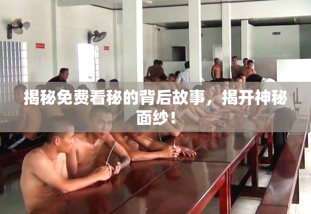 揭秘免费看秘的背后故事，揭开神秘面纱！