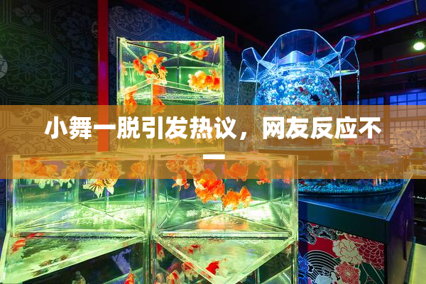 小舞一脱引发热议，网友反应不一