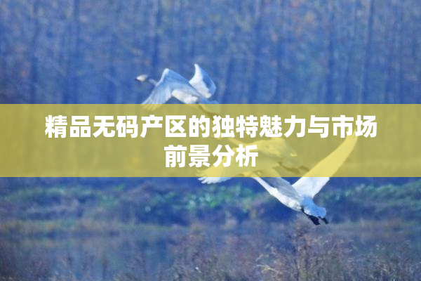 精品无码产区的独特魅力与市场前景分析