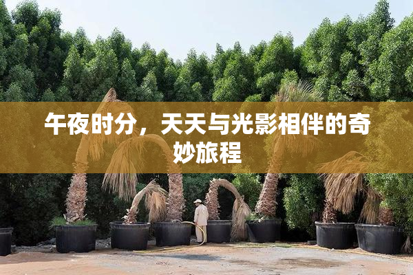 午夜时分，天天与光影相伴的奇妙旅程