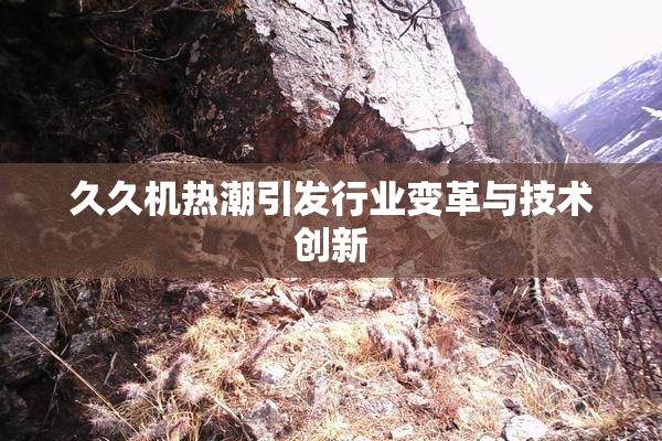 久久机热潮引发行业变革与技术创新