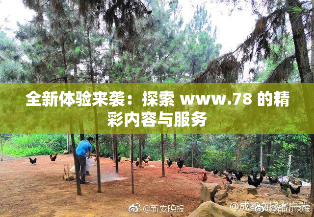 全新体验来袭：探索 www.78 的精彩内容与服务