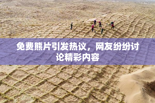 免费熊片引发热议，网友纷纷讨论精彩内容