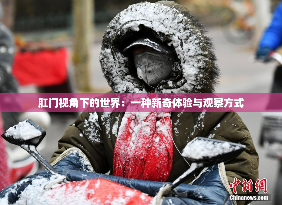 肛门视角下的世界：一种新奇体验与观察方式