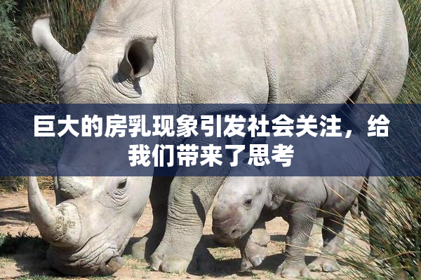巨大的房乳现象引发社会关注，给我们带来了思考