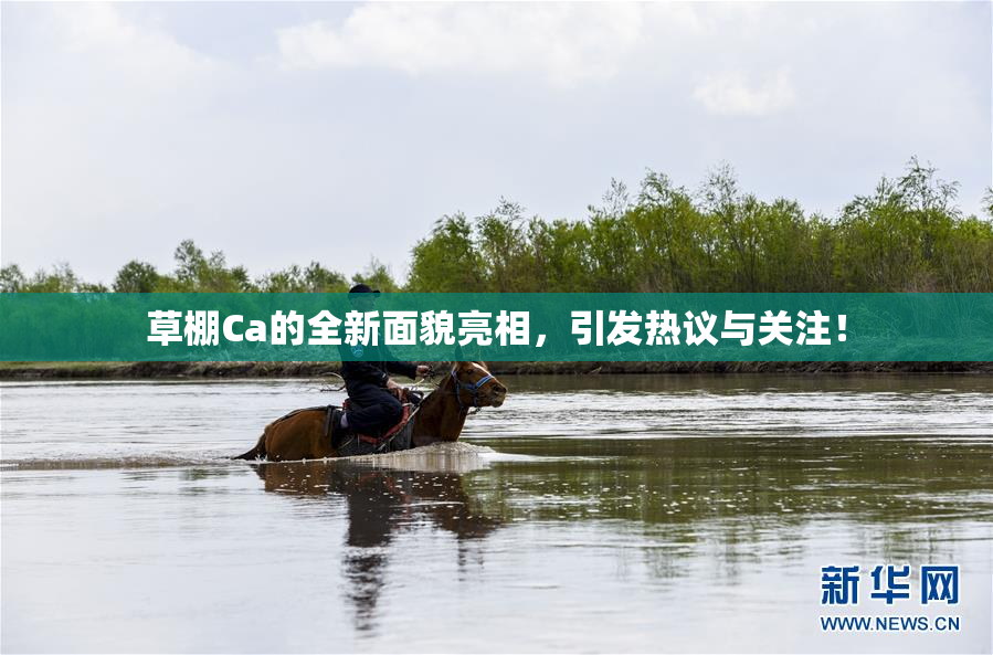 草棚Ca的全新面貌亮相，引发热议与关注！