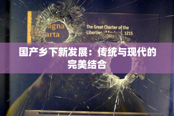 国产乡下新发展：传统与现代的完美结合