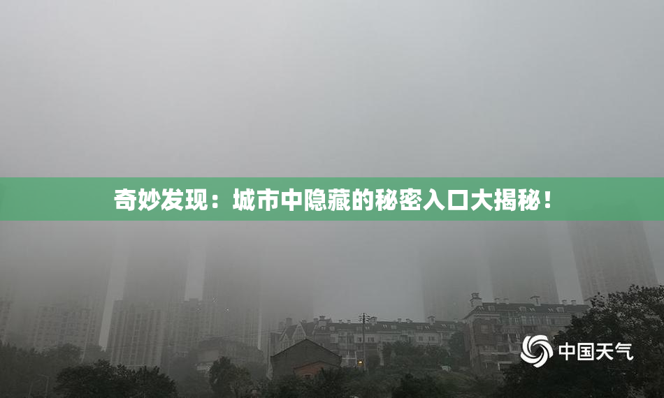 奇妙发现：城市中隐藏的秘密入口大揭秘！