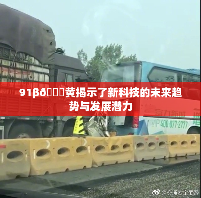 91β🔞黄揭示了新科技的未来趋势与发展潜力