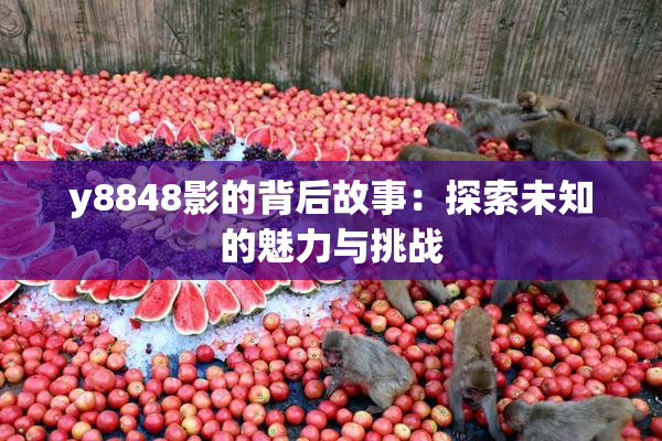 y8848影的背后故事：探索未知的魅力与挑战