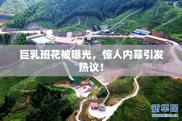 巨乳班花被曝光，惊人内幕引发热议！