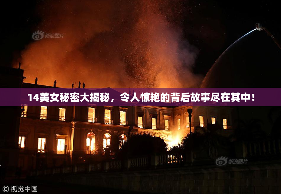 14美女秘密大揭秘，令人惊艳的背后故事尽在其中！
