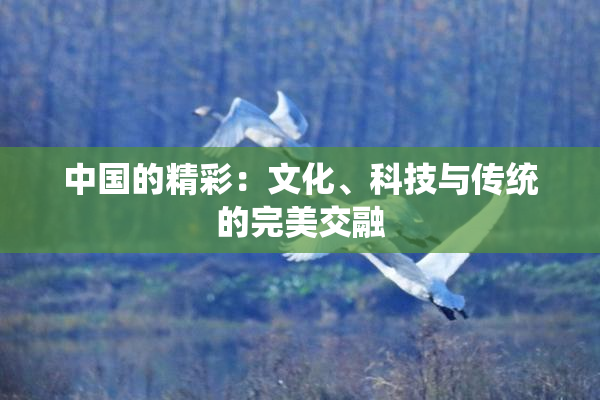中国的精彩：文化、科技与传统的完美交融