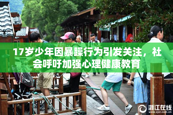 17岁少年因暴躁行为引发关注，社会呼吁加强心理健康教育
