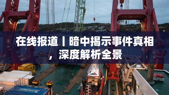 在线报道丨暗中揭示事件真相，深度解析全景