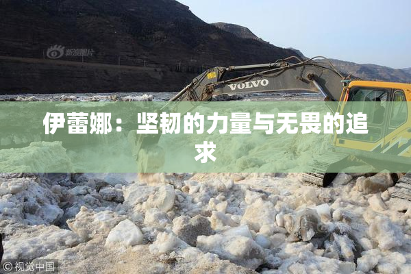 伊蕾娜：坚韧的力量与无畏的追求