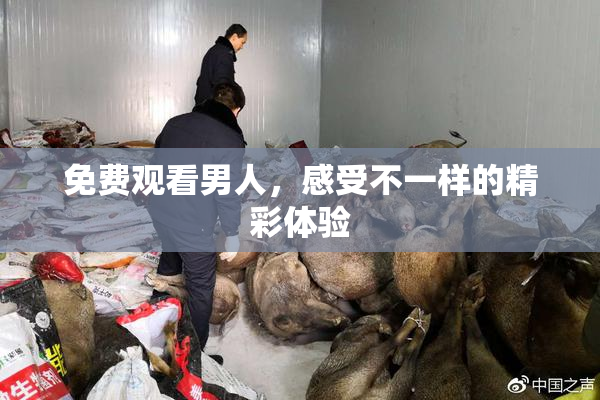 免费观看男人，感受不一样的精彩体验