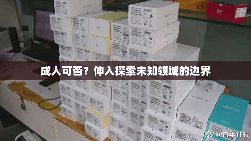 成人可否？伸入探索未知领域的边界