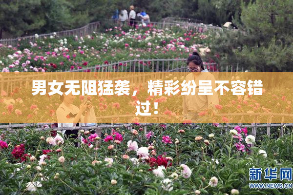 男女无阻猛袭，精彩纷呈不容错过！