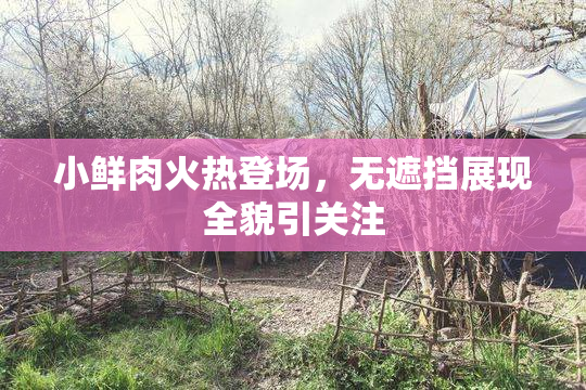 小鲜肉火热登场，无遮挡展现全貌引关注