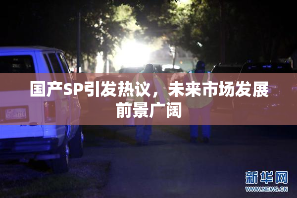国产SP引发热议，未来市场发展前景广阔