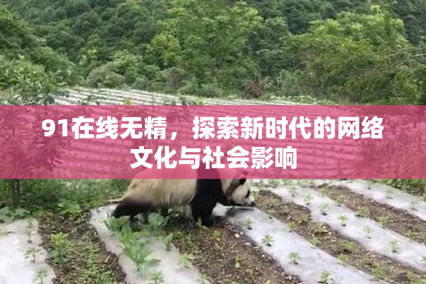 91在线无精，探索新时代的网络文化与社会影响