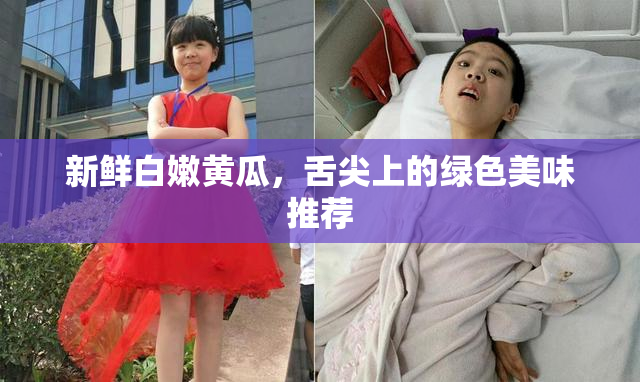 新鲜白嫩黄瓜，舌尖上的绿色美味推荐