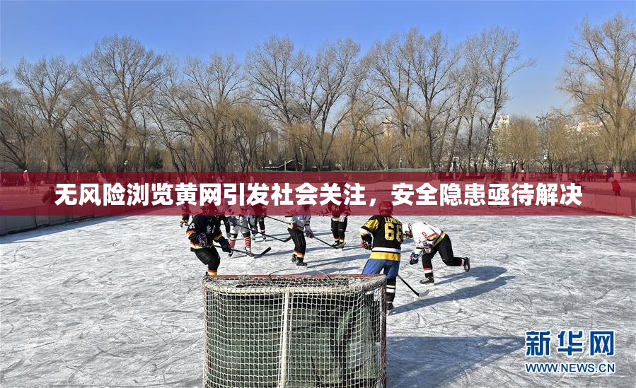 无风险浏览黄网引发社会关注，安全隐患亟待解决