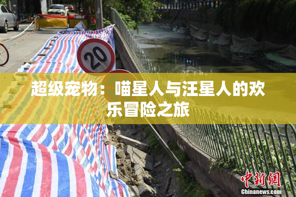 超级宠物：喵星人与汪星人的欢乐冒险之旅