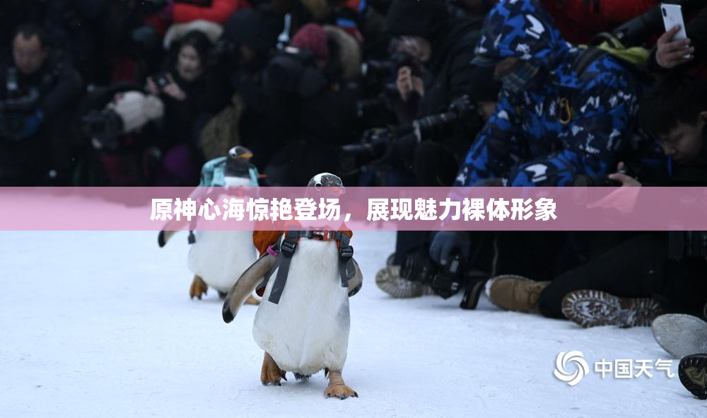 原神心海惊艳登场，展现魅力裸体形象