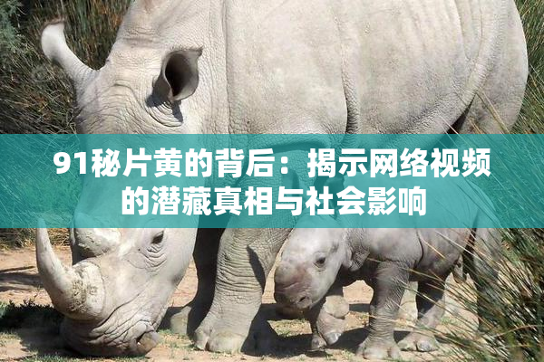 91秘片黄的背后：揭示网络视频的潜藏真相与社会影响