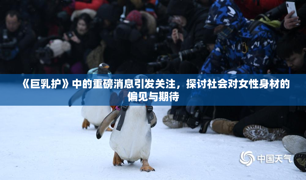 《巨乳护》中的重磅消息引发关注，探讨社会对女性身材的偏见与期待