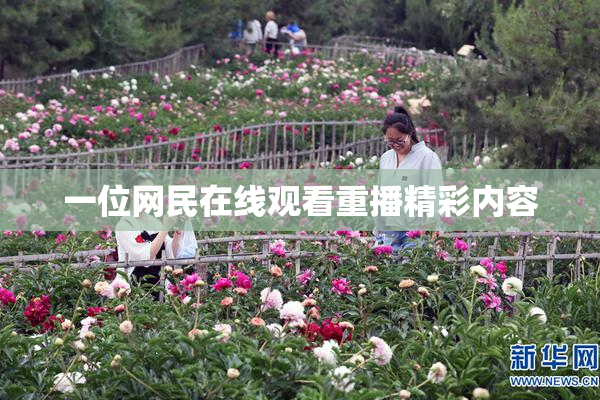 一位网民在线观看重播精彩内容
