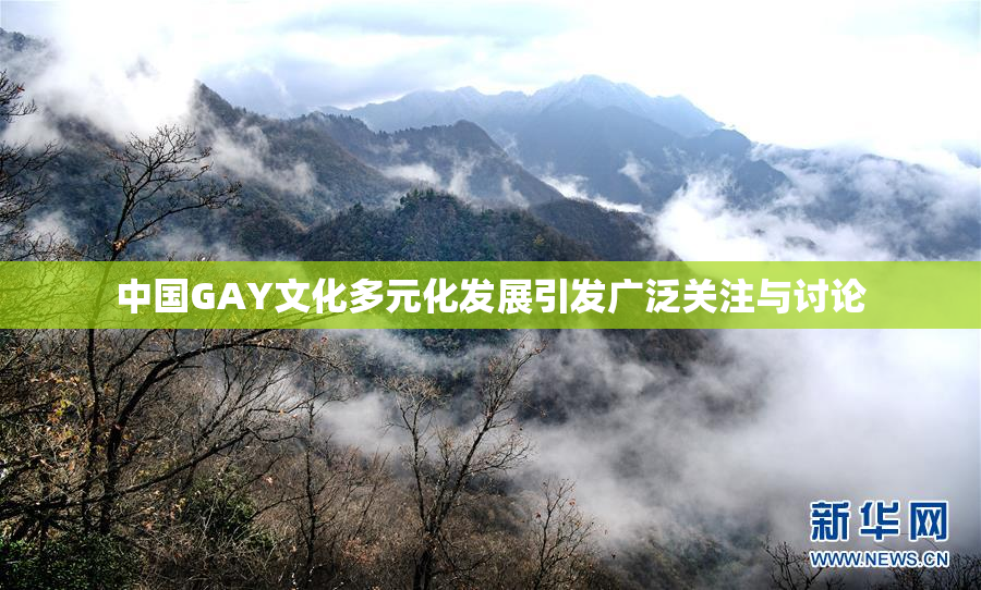 中国GAY文化多元化发展引发广泛关注与讨论
