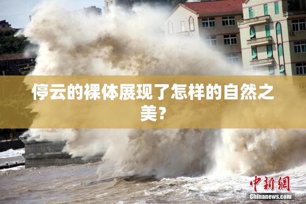 停云的裸体展现了怎样的自然之美？