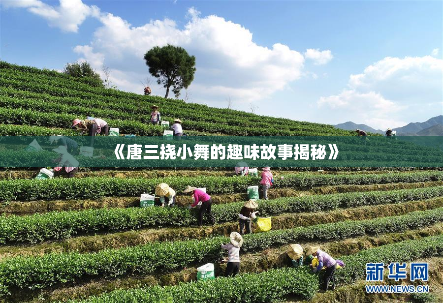 《唐三挠小舞的趣味故事揭秘》