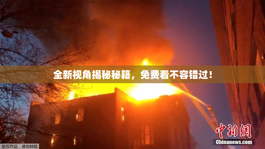 全新视角揭秘秘籍，免费看不容错过！