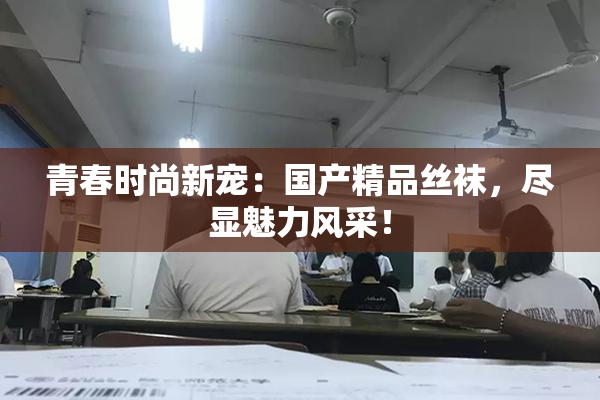 青春时尚新宠：国产精品丝袜，尽显魅力风采！