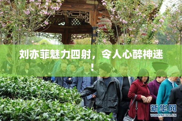 刘亦菲魅力四射，令人心醉神迷！