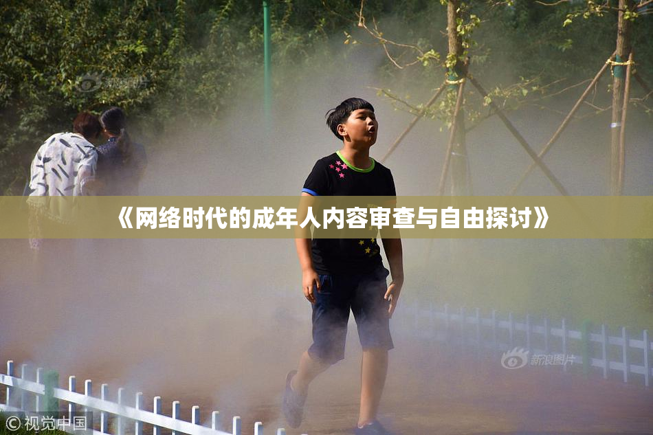 《网络时代的成年人内容审查与自由探讨》